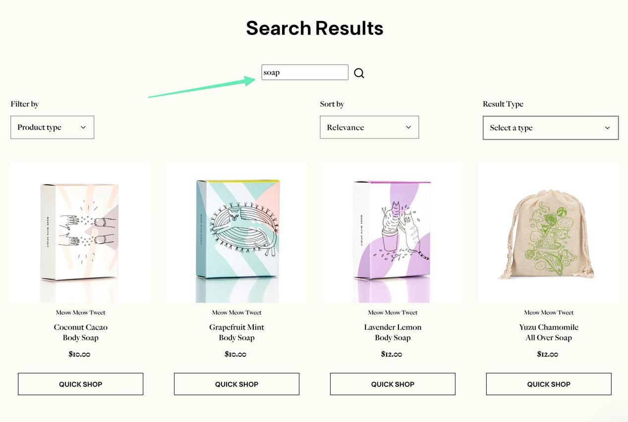 search results in the best ecommerce platform for SEO