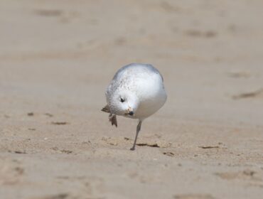 18 лучших инструментов для взлома