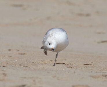 18 лучших инструментов для взлома