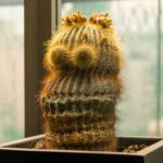 15-этапный SEO-аудит, который гарантированно улучшит рейтинг