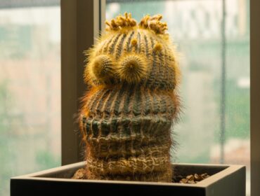 15-этапный SEO-аудит, который гарантированно улучшит рейтинг