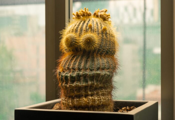 15-этапный SEO-аудит, который гарантированно улучшит рейтинг