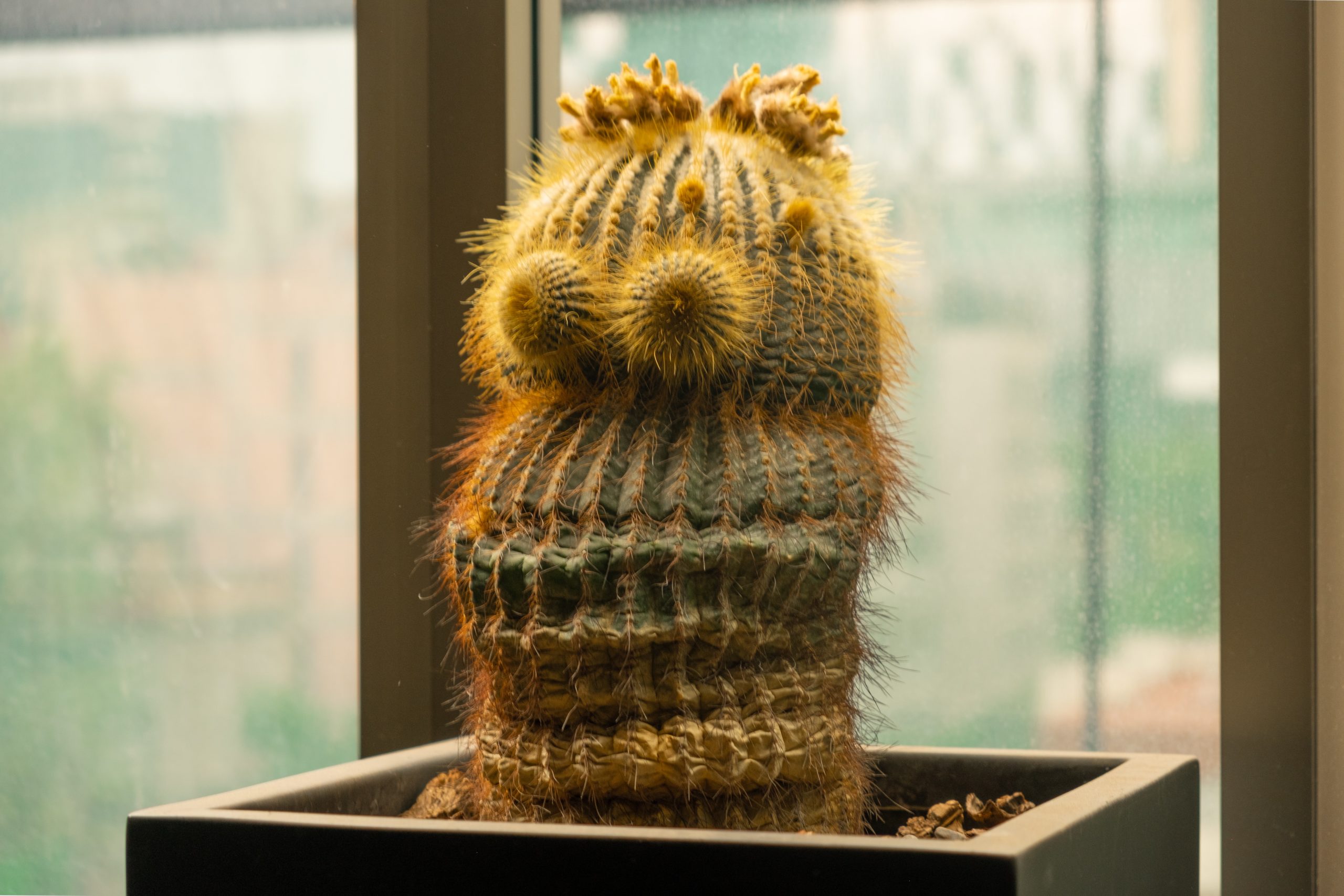 15-этапный SEO-аудит, который гарантированно улучшит рейтинг