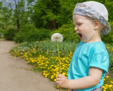 30 лучших инструментов для обратной связи с веб-сайтами на 2022 год