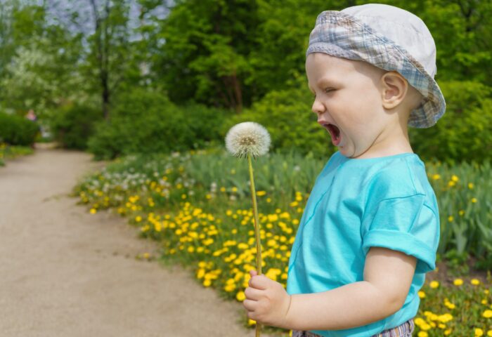 30 лучших инструментов для обратной связи с веб-сайтами на 2022 год