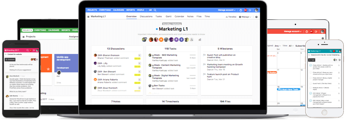 программное обеспечение для управления бизнесом и проектами proofhub