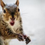 Как снизить показатель отказов на вашем сайте WordPress