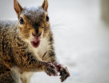 Как снизить показатель отказов на вашем сайте WordPress