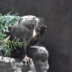 15 лучших бесплатных провайдеров электронной почты для малого бизнеса