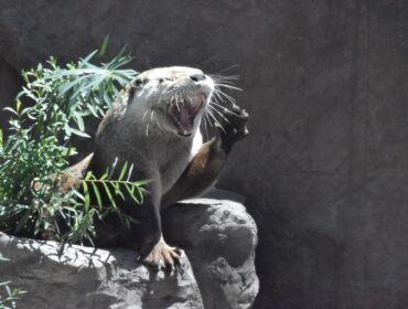 15 лучших бесплатных провайдеров электронной почты для малого бизнеса