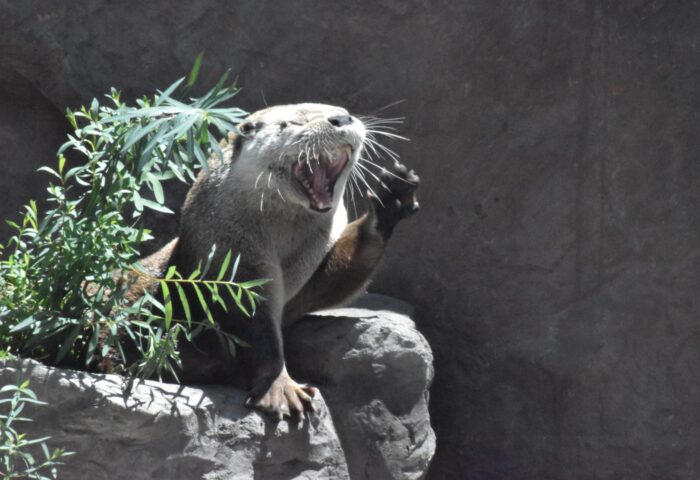 15 лучших бесплатных провайдеров электронной почты для малого бизнеса