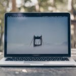 11 типов SEO: что это такое и как их использовать