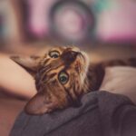 Как увеличить трафик вашего блога - легкий способ (27 проверенных советов)