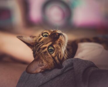 Как увеличить трафик вашего блога - легкий способ (27 проверенных советов)