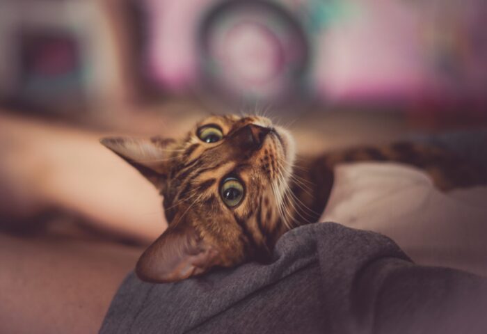 Как увеличить трафик вашего блога - легкий способ (27 проверенных советов)