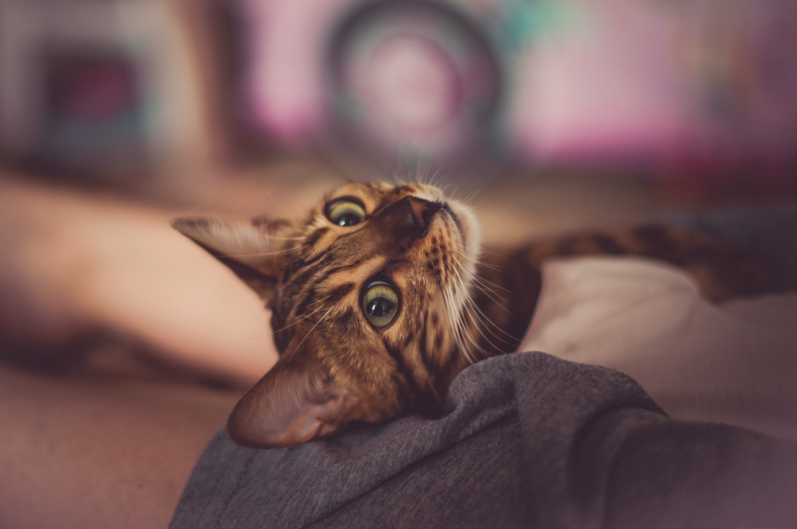 Как увеличить трафик вашего блога - легкий способ (27 проверенных советов)