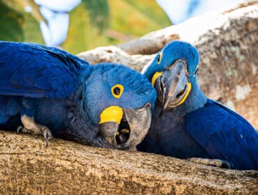 26 лучших бесплатных средств удаления вредоносных программ