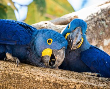 26 лучших бесплатных средств удаления вредоносных программ