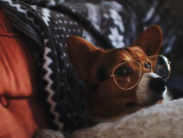 29 лучших чатботов с искусственным интеллектом онлайн