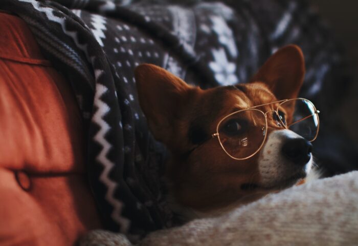 29 лучших чатботов с искусственным интеллектом онлайн