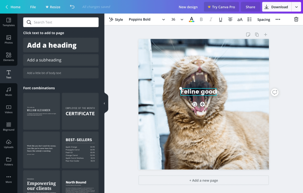Canva online design tools suite