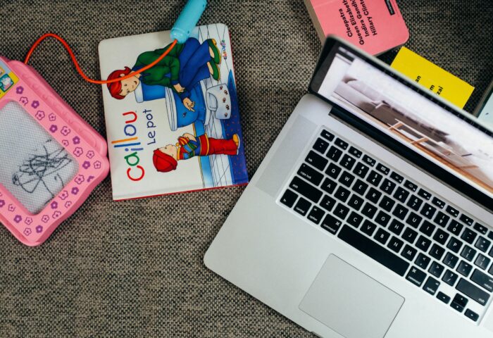 100+ лучших плагинов WordPress для разработчиков