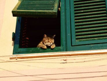 Что означает SEO?