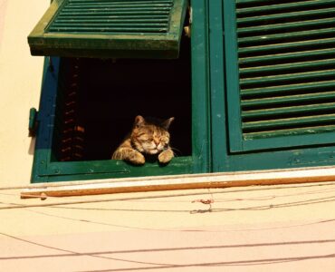 Что означает SEO?