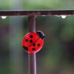 40 лучших профессиональных программных инструментов для веб-дизайна на 2022 год