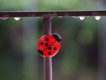 40 лучших профессиональных программных инструментов для веб-дизайна на 2022 год