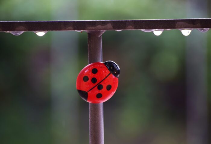 40 лучших профессиональных программных инструментов для веб-дизайна на 2022 год