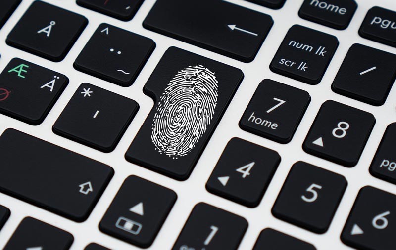что такое fingerprint