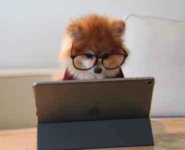 Полное руководство по чатботам для бизнеса