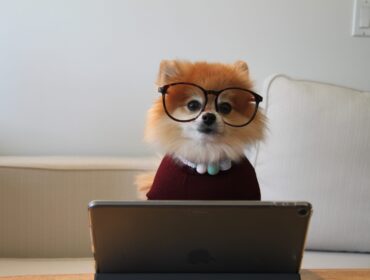 10 лучших SEO-инструментов для Mac для увеличения поискового трафика вашего сайта