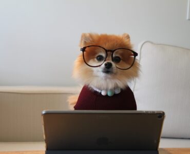 10 лучших SEO-инструментов для Mac для увеличения поискового трафика вашего сайта