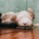 Топ-10 лучших практик оптимизации коэффициента конверсии (CRO)