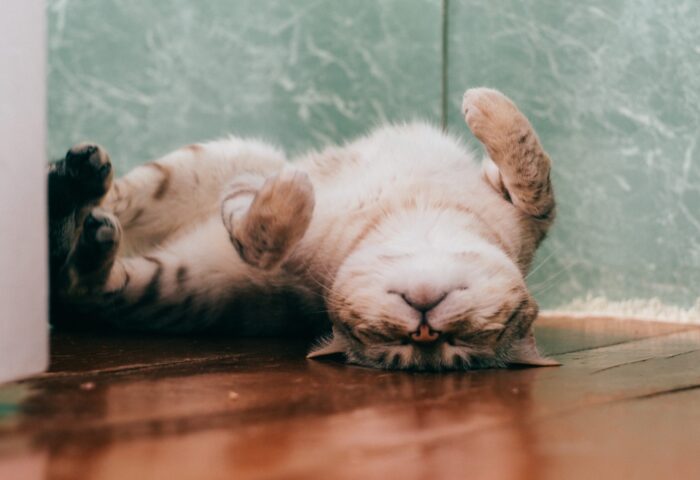 Топ-10 лучших практик оптимизации коэффициента конверсии (CRO)