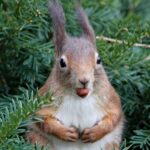 29 лучших инструментов для постинга и планирования в социальных сетях на 2022 год