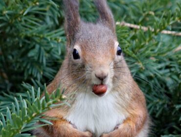 29 лучших инструментов для постинга и планирования в социальных сетях на 2022 год