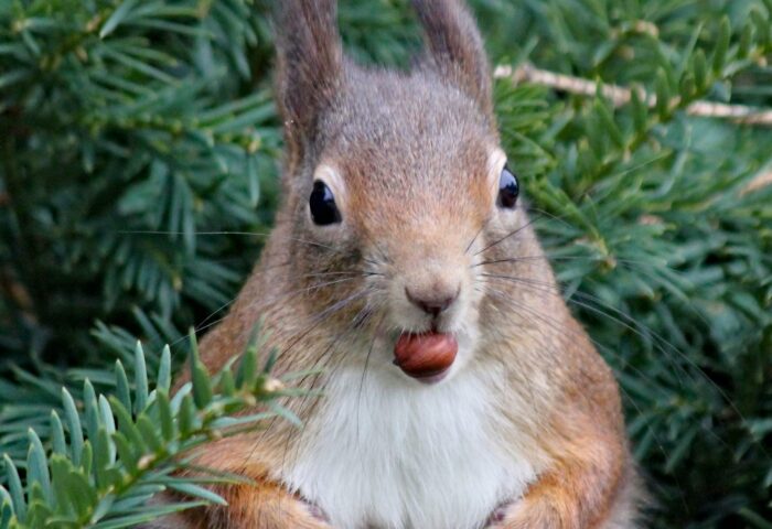 29 лучших инструментов для постинга и планирования в социальных сетях на 2022 год