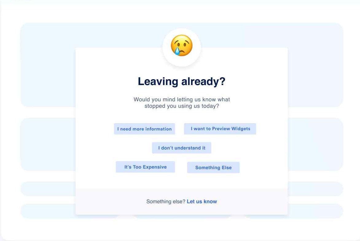 Exit Intent Survey