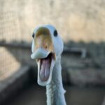 Что такое PPC-менеджмент и как им воспользоваться для получения максимального дохода