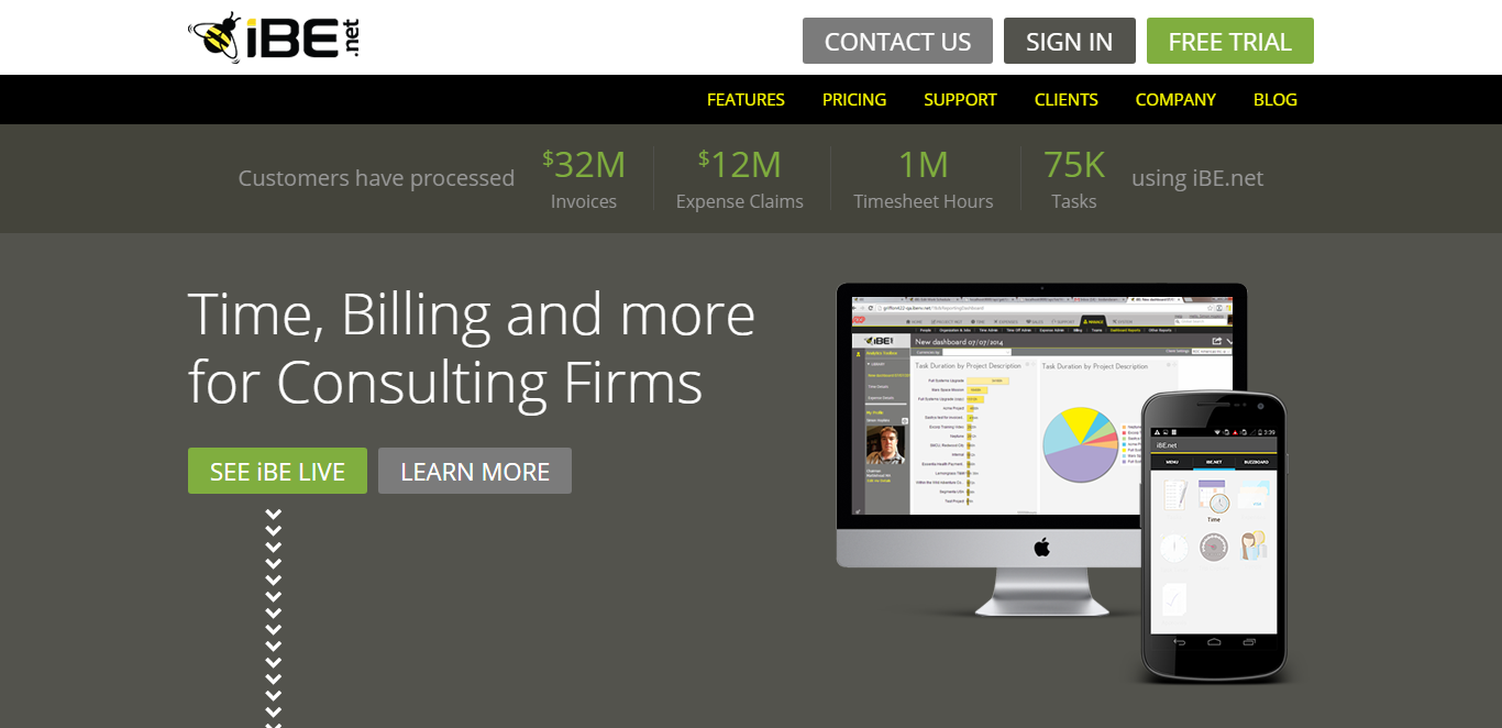 ibe.net as top business management software