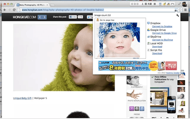 Image collector extension