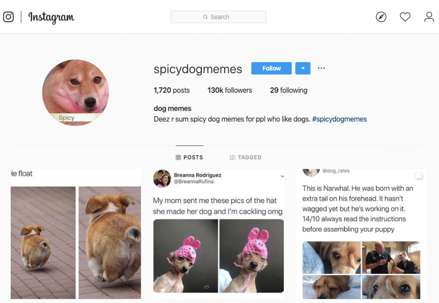 Популярная страница мемов Instagram