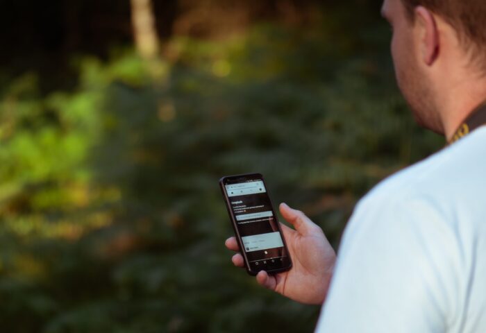 Веб-сайт и блог: в чем разница?