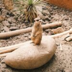 Лучшие инструменты email-маркетинга, которые будут использоваться в 2021 году