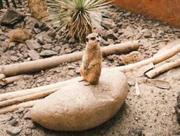 Лучшие инструменты email-маркетинга, которые будут использоваться в 2021 году