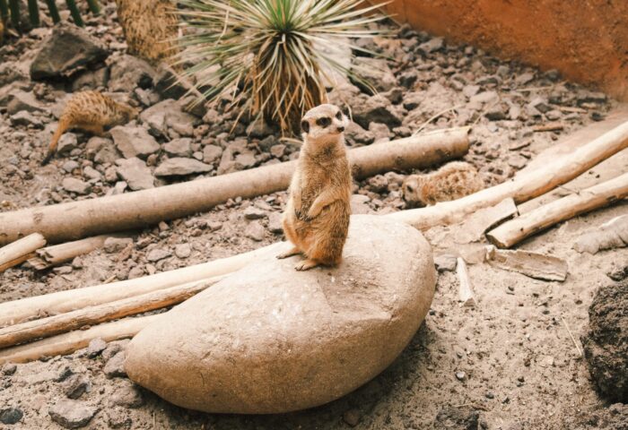 Лучшие инструменты email-маркетинга, которые будут использоваться в 2021 году