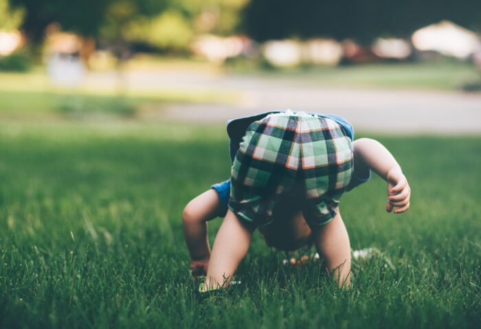 50 отличных инструментов для веб-разработки, которые действительно используются в 2022 году